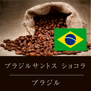 ブラジル サントス ショコラ ニシナ屋 珈琲 焙煎 コーヒー 豆 300g