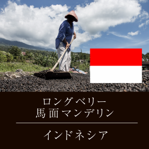 ロングベリー 馬面 マンデリン ニシナ屋 珈琲 焙煎 コーヒー 豆 300g