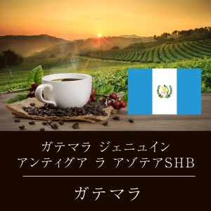 ガテマラ ジェニュインアンティグア ラ アゾテア SHB ニシナ屋 珈琲 焙煎 コーヒー 豆 500g