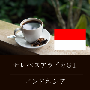 セレベスアラビカ G1 ニシナ屋 珈琲 焙煎 コーヒー 豆 500g