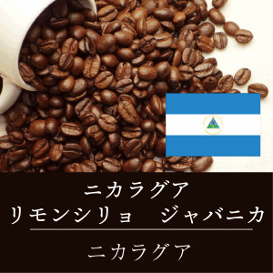 ニカラグア リモンシリョ ジャバニカ ニシナ屋 珈琲 焙煎 コーヒー 豆 500g