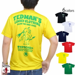 シルキードライ半袖Tシャツ TEDMAN テッドマン TDRYT-1100 吸汗速乾 スポーティ エフ商会 efu