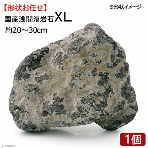 形状お任せ　浅間溶岩石　ＸＬサイズ（約２３〜３０ｃｍ）　１個　アクアリウム　レイアウト素材
