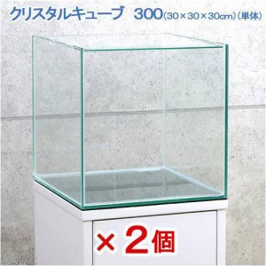 コトブキ工芸　クリスタルキューブ３００（３０×３０×３０ｃｍ）　レグラス　３０ｃｍ水槽（単体）　２個　小型水槽　ガラス水槽　お一