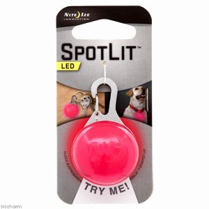 プラッツ　ＮＩＴＥ　ＩＺＥ　スポットリット　ネオンピンク　犬　夜間　ＬＥＤ　お散歩ライト