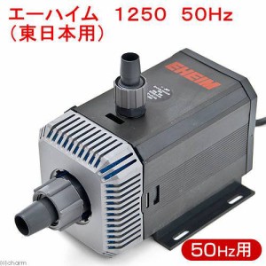 ５０Ｈｚ　エーハイム　水陸両用ポンプ　１２５０　流量２０リットル／分　東日本用　メーカー保証期間１年