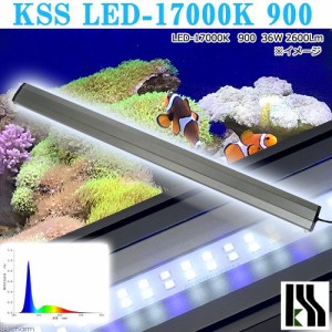 興和　ＫＳＳ　ＬＥＤ−１７０００Ｋ　９００　９０〜１００ｃｍ水槽用　ライト　熱帯魚　アクアリウムライト　照明