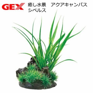 ＧＥＸ　癒し水景　アクアキャンバス　シペルス　人工水草