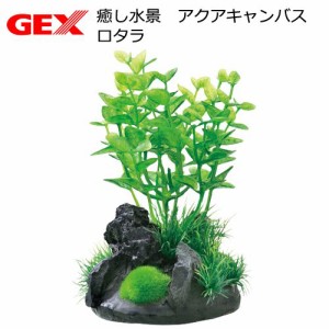 ＧＥＸ　癒し水景　アクアキャンバス　ロタラ　人工水草