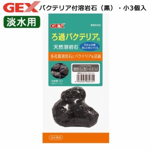 ＧＥＸ　バクテリア付溶岩石（黒）・小３個入