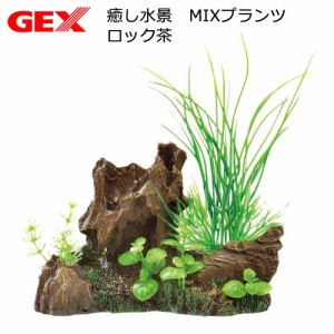 ＧＥＸ　癒し水景　ＭＩＸプランツ　ロック茶　人工水草