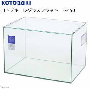 コトブキ工芸　ガラス水槽　レグラスフラット　Ｆ−４５０（４５×３０×３０ｃｍ）　４５ｃｍ水槽　お一人様１点限り