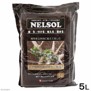 培養土　水で練って固まる土　ネルソル　５Ｌ　多肉植物　壁掛　枕木　流木