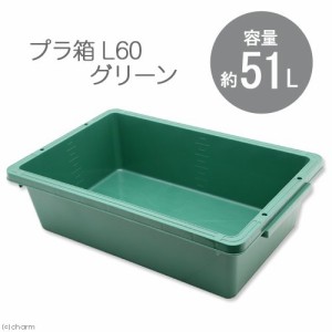 簡易梱包　Ｅ−ＣＯＮ　プラ箱　Ｌ６０　グリーン（幅７６．８×奥行き４９．７×深さ１９．９ｃｍ　約５１Ｌ）　お一人様１点限り