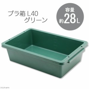 Ｅ−ＣＯＮ　プラ箱　Ｌ４０　グリーン（幅６２．２×奥行き４１×深さ１６．４ｃｍ　約２８Ｌ）　お一人様３点限り