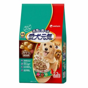 　愛犬元気　ささみ・ビーフ・緑黄色野菜入り　２．３ｋｇ（小分パック４袋入り）×４　国産　総合栄養食 ドッグフード