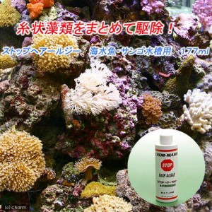 ストップ　ヘアーアルジー　海水魚・サンゴ水槽用　２５０ｍｌ