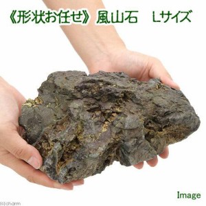 形状お任せ　風山石　Ｌサイズ（約２０〜２５ｃｍ）　１個　アクアリウム　テラリウム　レイアウト素材　お一人様３点限り