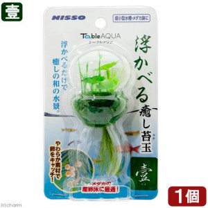 ニッソー　テーブルアクア　浮かべる癒し苔玉　壱（イチ）　人工水草