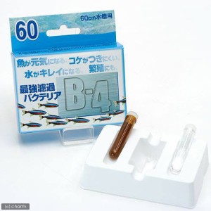 Ｂ−４　６０（バクテリア剤）　１ｇ　バクテリア　熱帯魚　観賞魚