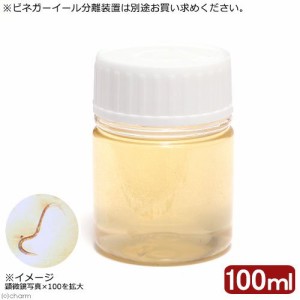 （生餌）ビネガーイール　１００ｍｌ（１個）　活餌