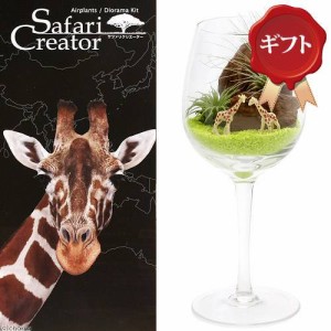 （観葉植物）ギフト　エアープランツ「サファリ　クリエーター」　〜キリン〜（１セット）