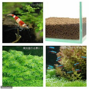 水草とシュリンプの土　こげ茶　約３．３リットル　（ノーマルタイプ）　熱帯魚　用品　ソイル