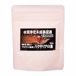 アロワナ専用　バクテリアの素　５０ｇ　バクテリア　熱帯魚　観賞魚