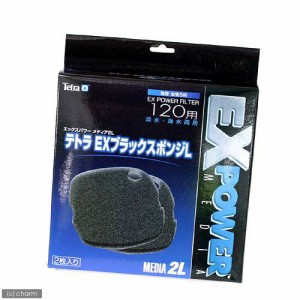 テトラ　ＥＸブラックスポンジＬ　１２０用