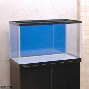 ６０ｃｍ水槽用　丈夫な塩ビ製バックスクリーン　６０×３５ｃｍ　青　スカイブルー