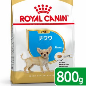 ロイヤルカナン 犬用 ドッグフード　チワワ　子犬用　８００ｇ　３１８２５５０７８８１２０　ジップ付　お一人様５点限り