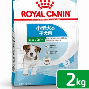 ロイヤルカナン 犬用 ドッグフード　ミニ　パピー　子犬用　２ｋｇ　３１８２５５０７９３００１　ジップ付　お一人様５点限り