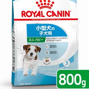 ロイヤルカナン 犬用 ドッグフード　ミニ　パピー　子犬用　８００ｇ　３１８２５５０７９２９２９　ジップ付　お一人様５点限り