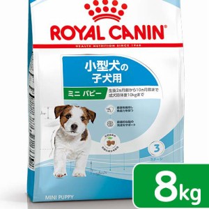 ロイヤルカナン 犬用 ドッグフード　ミニ　パピー　子犬用　８ｋｇ　３１８２５５０７９３０４９　ジップ無し　お一人様５点限り