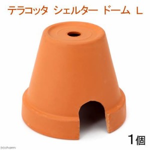 テラコッタシェルタードーム　Ｌ　１個　シェルター　素焼き