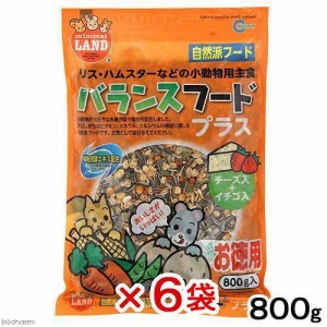 マルカン　バランスフードプラス　お徳用　８００ｇ×６袋　小動物用フード　ハムスターフード　えさ　エサ　餌 (ハムスター 餌)