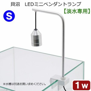 貝沼　ＬＥＤミニペンダントランプ　Ｓ　１Ｗ　水槽　ライト　照明