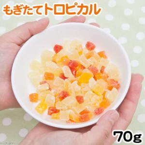 マルカン　もぎたてトロピカル　７０ｇ　うさぎ　おやつ　果物 (ハムスター 餌)