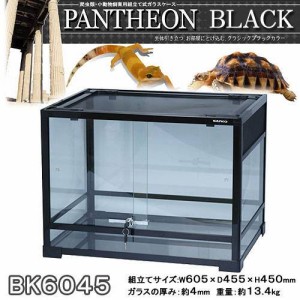 爬虫類ケージ　三晃商会　パンテオン　ブラック　ＢＫ６０４５（６０．５×４５．５×４５ｃｍ）お一人様１点限り