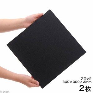 プラパール　６０ｃｍ水槽用マット　ブラック　３０×３０ｃｍ　２枚