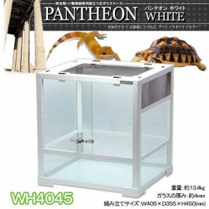 三晃商会　レプティワイルド　パンテオン　ホワイト　ＷＨ４０４５（４０．５×３５．５×４５ｃｍ）　お一人様２点限り