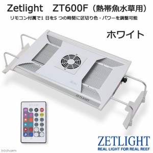 ライトニングボルト 欠品あり ゼットライト Zetlight ZT600F ホワイト