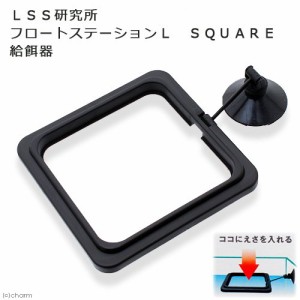 ＬＳＳ研究所　フロートステーションＬ　ＳＱＵＡＲＥ