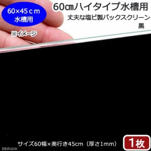 ６０ｃｍハイタイプ水槽用　丈夫な塩ビ製バックスクリーン　６０×４５ｃｍ　黒