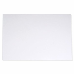 ４５ｃｍ水槽用　丈夫な塩ビ製バックスクリーン　４５×３０ｃｍ　ホワイトスモーク