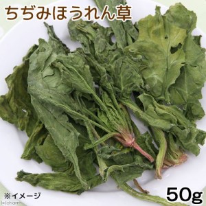 国産　ちぢみほうれんそう　５０ｇ　小動物用のおやつ　国産　無添加　無着色 (ハムスター 餌)