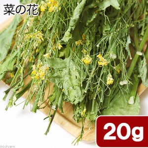 国産　菜の花　２０ｇ　小動物のおやつ　うさぎ　ハムスター　無添加　無着色 (ハムスター 餌)