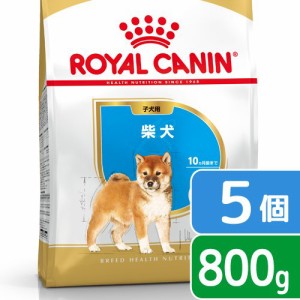 ロイヤルカナン 犬用 ドッグフード　柴犬　子犬用　８００ｇ×５袋　３１８２５５０８２３９３７　ジップ付　お一人様２点限り