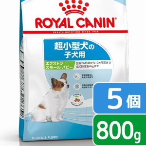 ロイヤルカナン 犬用 ドッグフード　エクストラスモール　パピー　子犬用　８００ｇ×５袋　３１８２５５０７９４４５９　ジップ付　お一