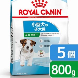 ロイヤルカナン 犬用 ドッグフード　ミニ　パピー　子犬用　８００ｇ×５袋　３１８２５５０７９２９２９　ジップ付　お一人様２点限り